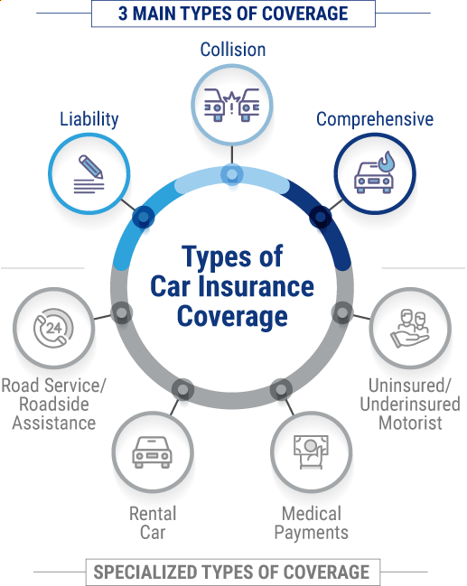 Main types of car insurance.  Specialized types of car insurance.